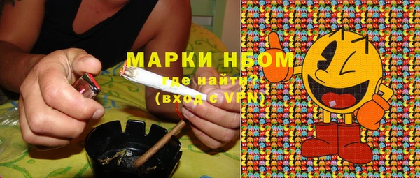 ГАЛЛЮЦИНОГЕННЫЕ ГРИБЫ Балахна