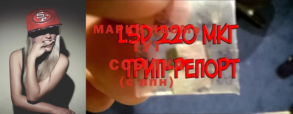 ГАЛЛЮЦИНОГЕННЫЕ ГРИБЫ Балахна