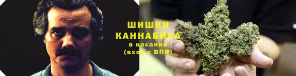 ГАЛЛЮЦИНОГЕННЫЕ ГРИБЫ Балахна