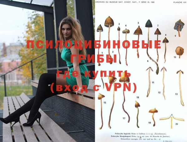 соль ск Кодинск