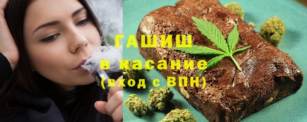 мдпв Гусев