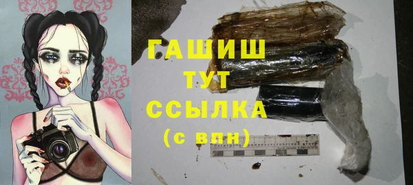 стаф Козловка