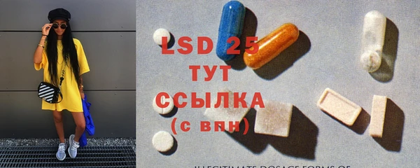 стаф Козловка