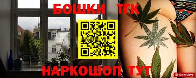 стаф Аргун