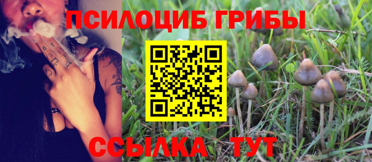 Галлюциногенные грибы GOLDEN TEACHER Беслан