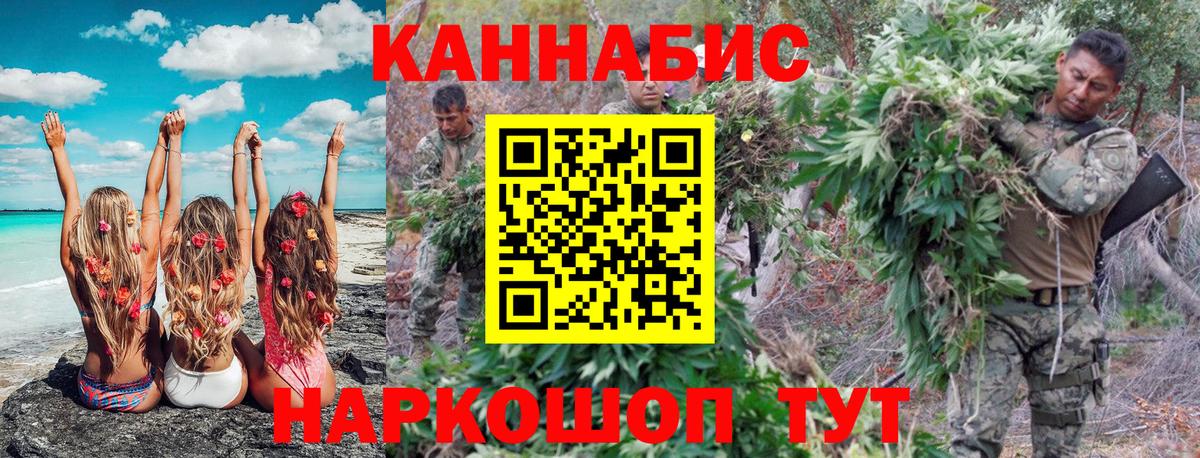 Конопля THC 21%  Каннабис индика  Марихуана семена  Каннабис планчик  Беслан 